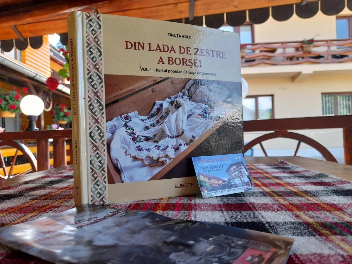 Pensiunea Mia Statjunea Borsa Luaran gambar